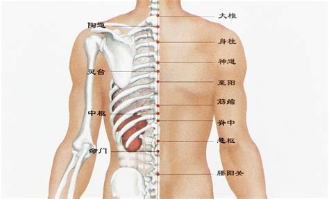 脊椎有痣|后背有痣代表什么图解 后背有痣代表什么